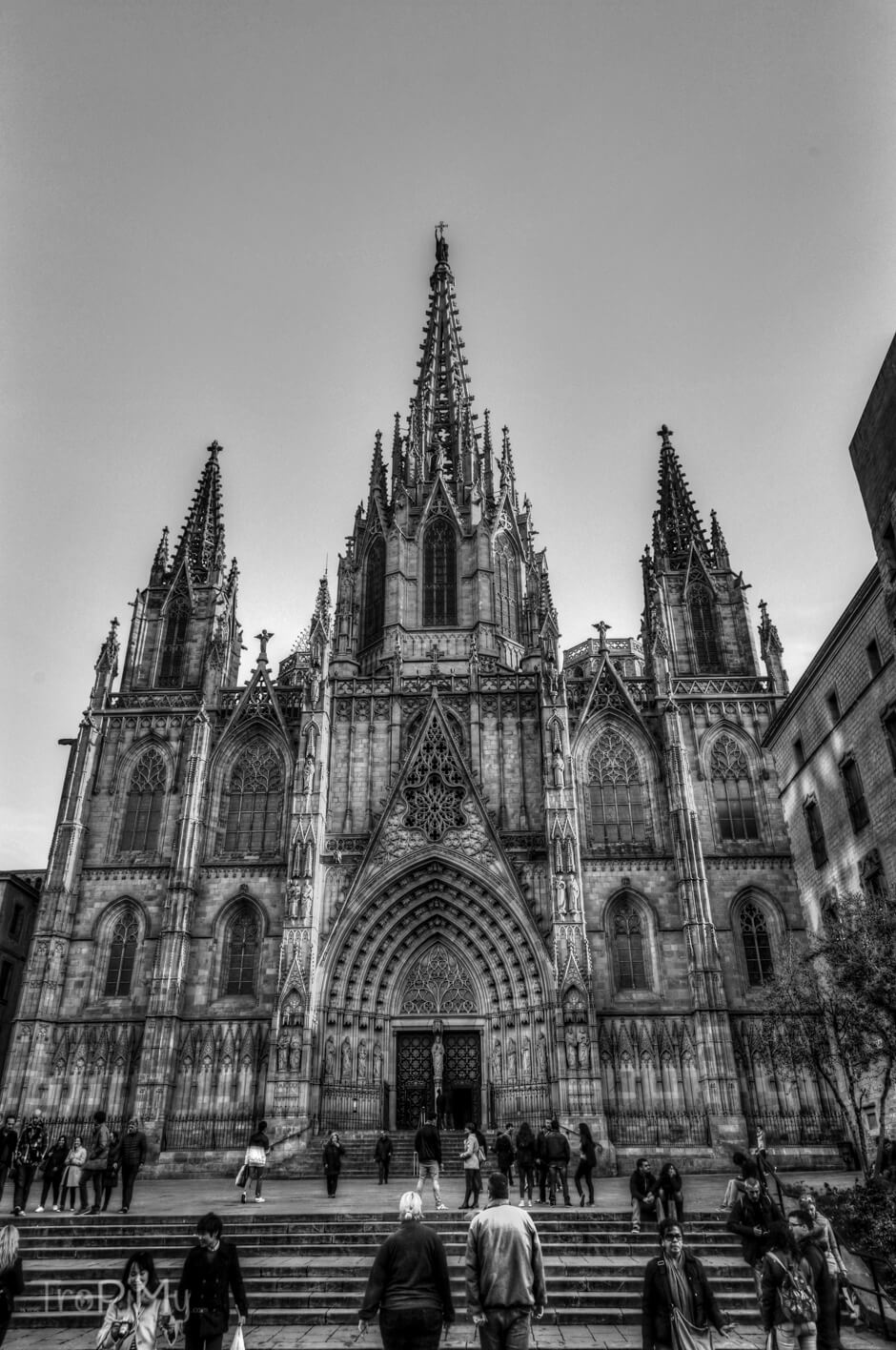 Barcelońska katedra