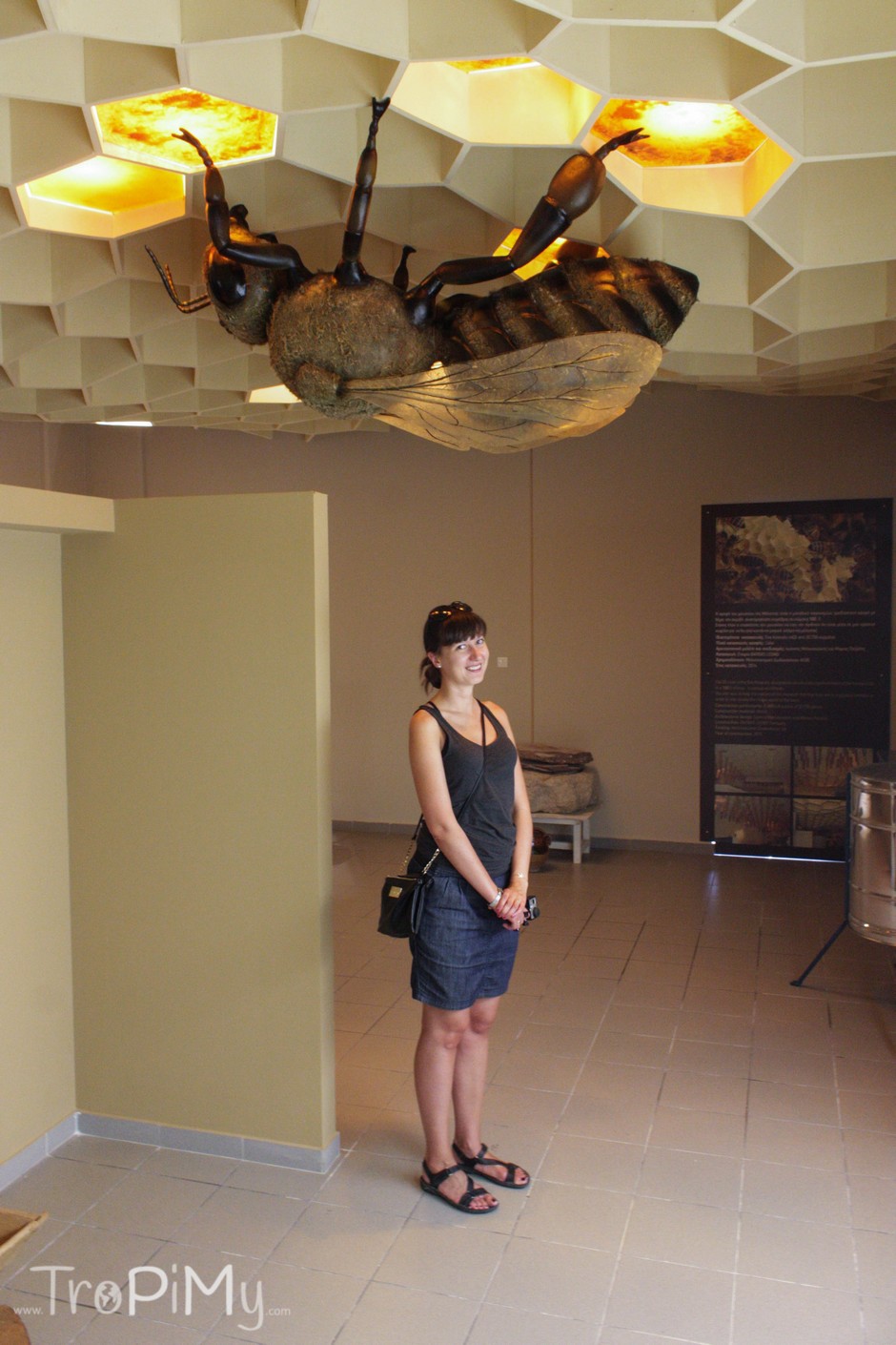 Muzeum Miodu, Rodos