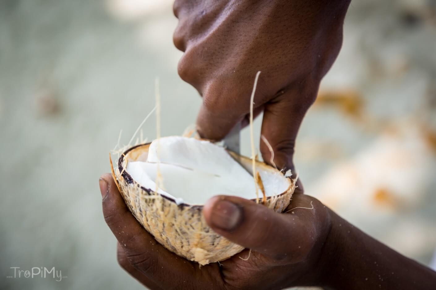 To już stary kokos - jego miąższ jest tak twardy, że można go kroić.