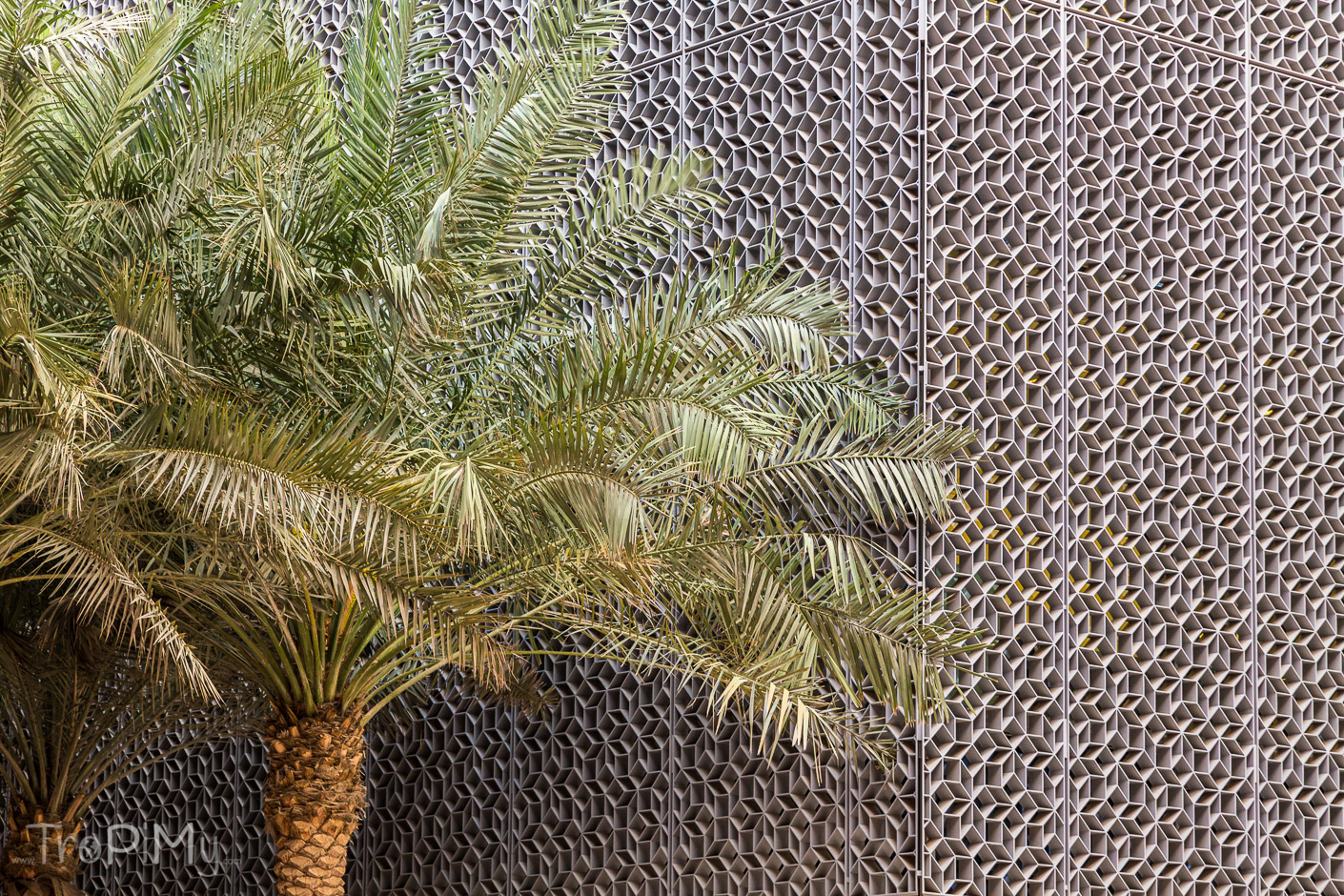 Masdar City