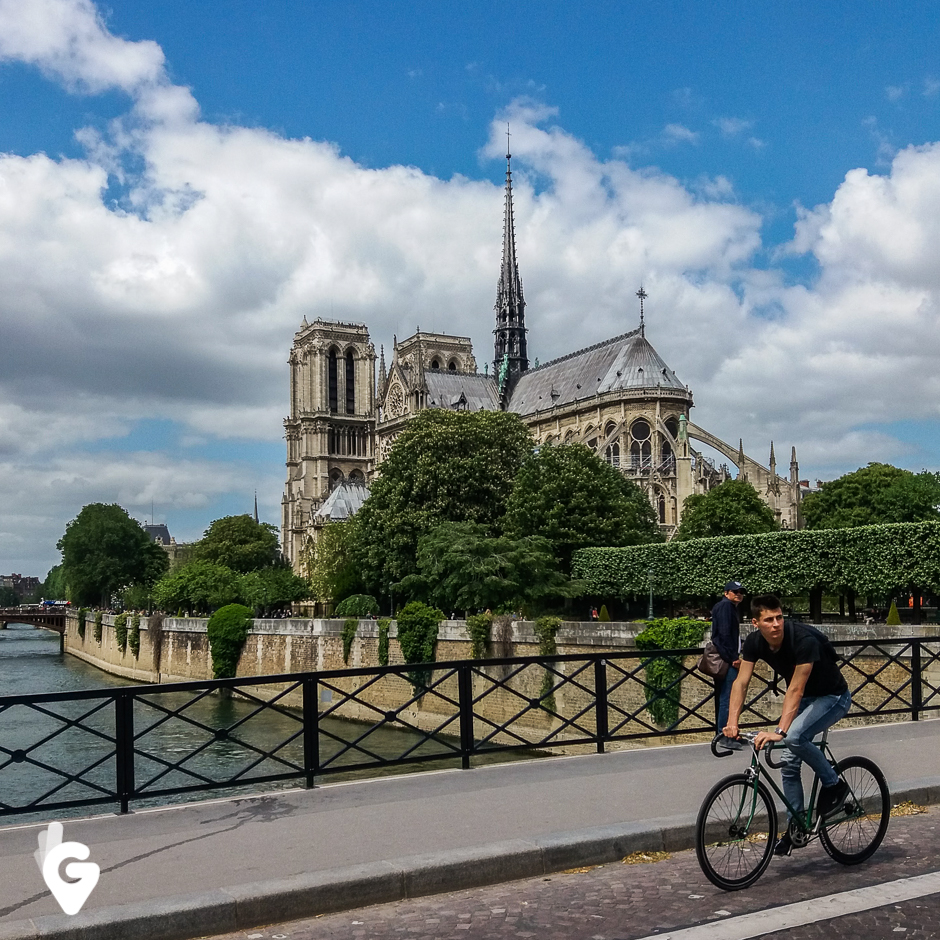 Katedra Notre Dame